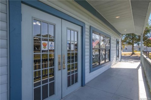 Immobilier commercial à vendre à Inverness, Floride: 222.22 m2 № 2128439 - photo 12