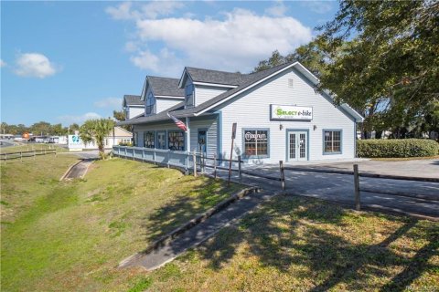 Immobilier commercial à vendre à Inverness, Floride: 222.22 m2 № 2128439 - photo 5