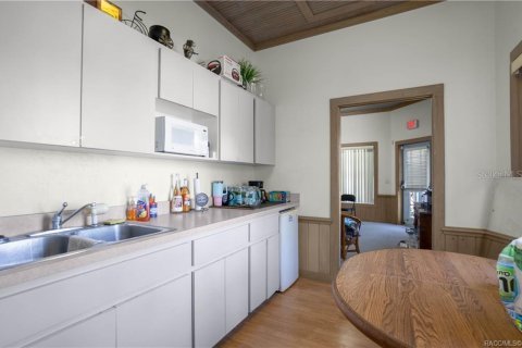 Immobilier commercial à vendre à Inverness, Floride: 222.22 m2 № 2128439 - photo 23