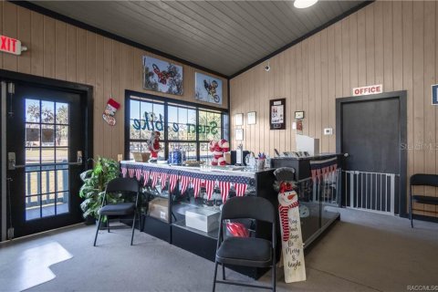 Immobilier commercial à vendre à Inverness, Floride: 222.22 m2 № 2128439 - photo 14