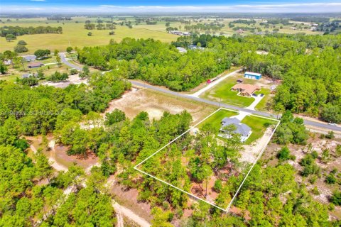 Villa ou maison à Ocala, Floride 3 chambres № 2004699