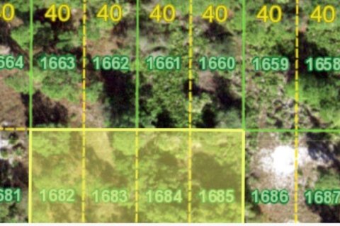 Land in Punta Gorda, Florida № 1985386 - photo 4