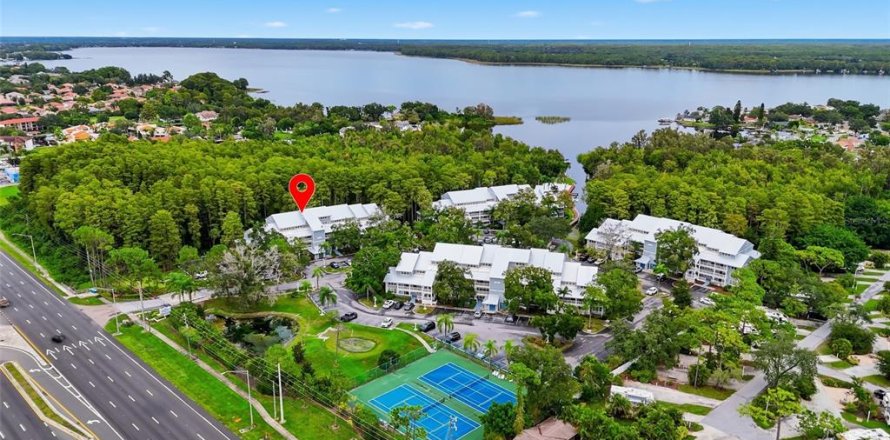 Condo à Palm Harbor, Floride, 2 chambres  № 2408027