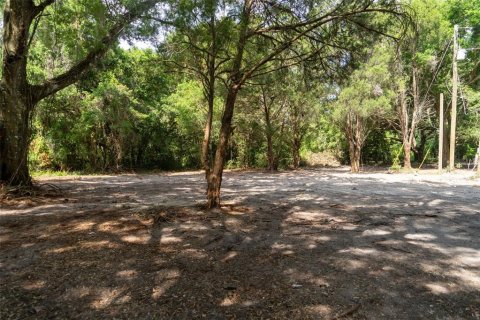 Land in Wildwood, Florida № 2095429 - photo 3
