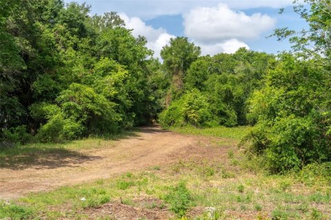 Land in Wildwood, Florida № 2095429 - photo 21