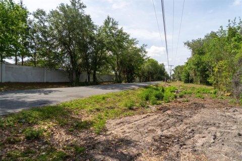 Land in Wildwood, Florida № 2095429 - photo 27