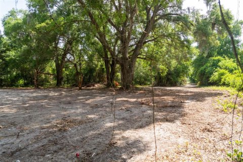 Land in Wildwood, Florida № 2095429 - photo 5