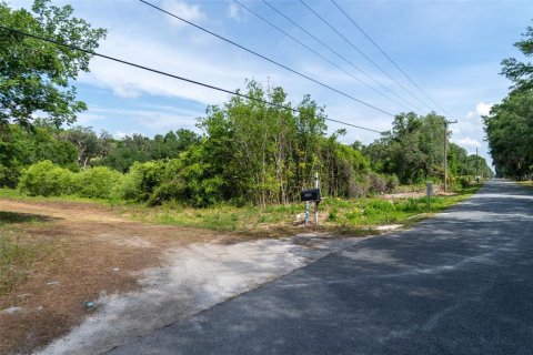 Land in Wildwood, Florida № 2095429 - photo 25