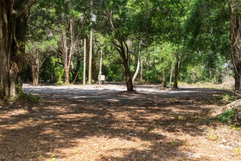 Land in Wildwood, Florida № 2095429 - photo 2