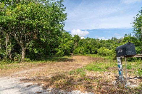 Land in Wildwood, Florida № 2095429 - photo 20