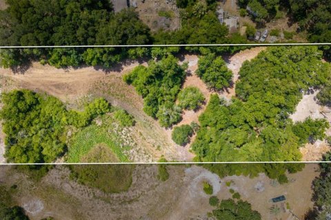 Land in Wildwood, Florida № 2095429 - photo 19