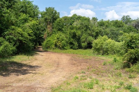 Land in Wildwood, Florida № 2095429 - photo 28