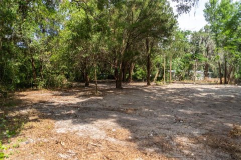 Land in Wildwood, Florida № 2095429 - photo 8
