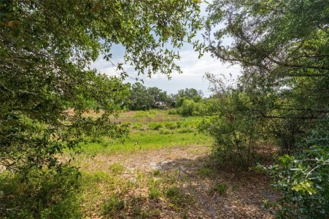 Land in Wildwood, Florida № 2095429 - photo 30