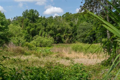 Land in Wildwood, Florida № 2095429 - photo 26