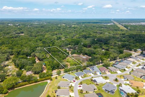 Land in Wildwood, Florida № 2095429 - photo 18