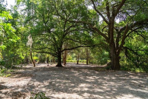Land in Wildwood, Florida № 2095429 - photo 10