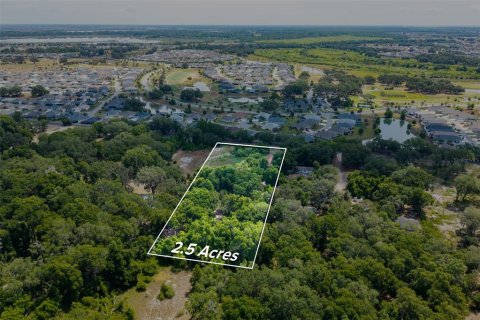 Land in Wildwood, Florida № 2095429 - photo 12