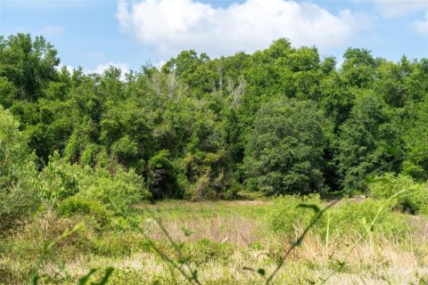 Land in Wildwood, Florida № 2095429 - photo 22