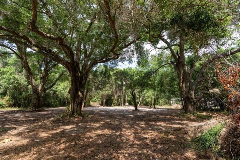 Land in Wildwood, Florida № 2095429 - photo 9