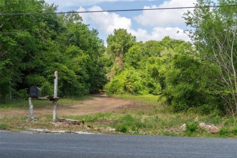 Land in Wildwood, Florida № 2095429 - photo 24