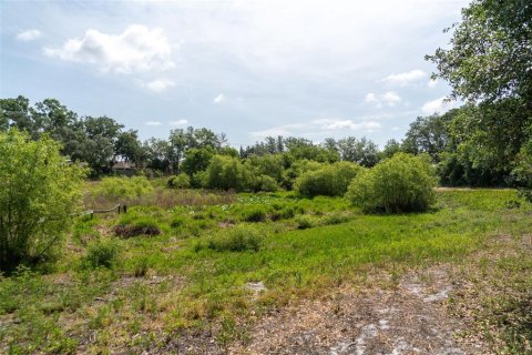 Land in Wildwood, Florida № 2095429 - photo 29