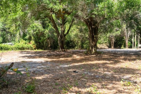 Land in Wildwood, Florida № 2095429 - photo 4