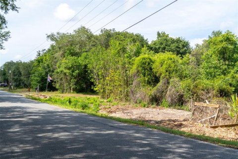 Land in Wildwood, Florida № 2095429 - photo 23