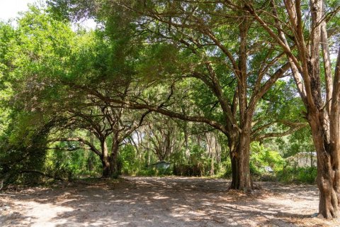 Land in Wildwood, Florida № 2095429 - photo 6