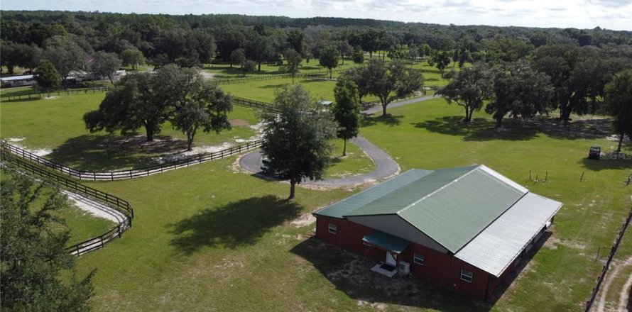 Studio à Morriston, Floride № 1878129