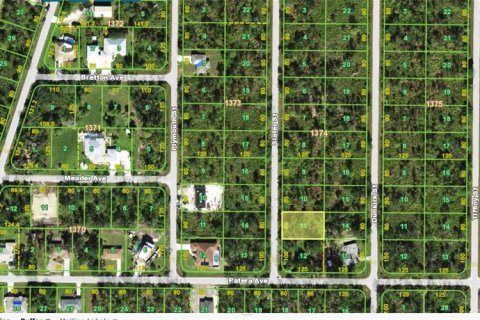 Land in Punta Gorda, Florida № 2159483
