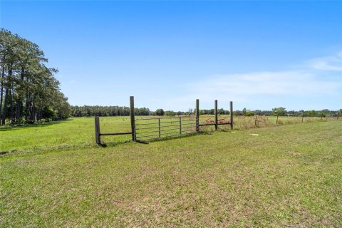 House in Dunnellon, Florida 4 bedrooms, 344.95 sq.m. № 2208375 - photo 13