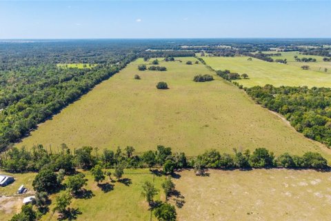 House in Dunnellon, Florida 4 bedrooms, 344.95 sq.m. № 2208375 - photo 9