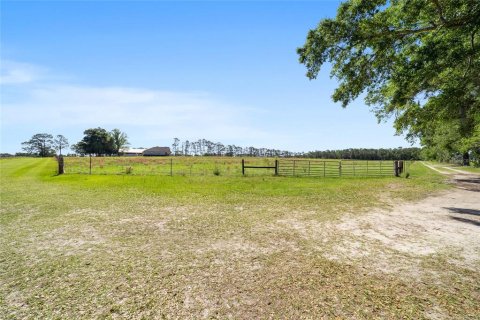 House in Dunnellon, Florida 4 bedrooms, 344.95 sq.m. № 2208375 - photo 14