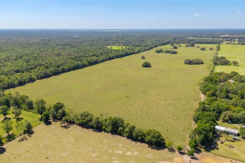 House in Dunnellon, Florida 4 bedrooms, 344.95 sq.m. № 2208375 - photo 8