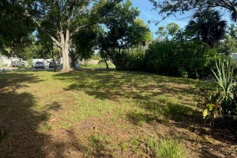 Terrain à vendre à Nokomis, Floride № 1824158 - photo 2