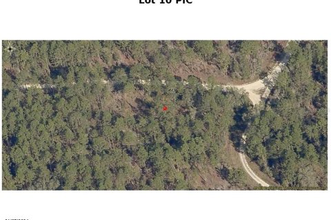 Land in Ocala, Florida № 1837171 - photo 2