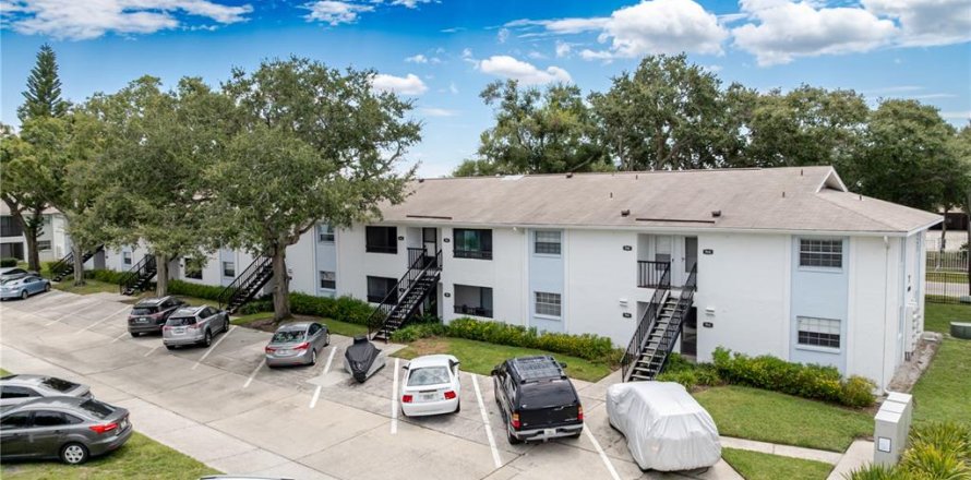 Condo à Tampa, Floride, 1 chambre  № 1916119