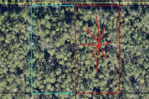 Land in Hastings, Florida № 2360413