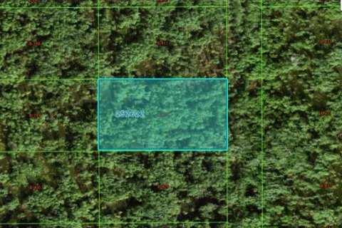 Terrain à Polk City, Floride № 2162224