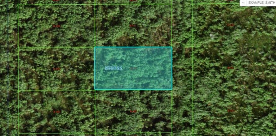 Terrain à Polk City, Floride № 2162224