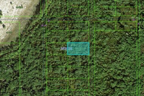 Terrain à vendre à Polk City, Floride № 2162224 - photo 2