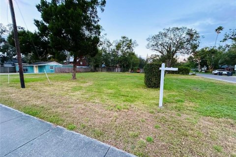 Land in Saint Petersburg, Florida № 1733631 - photo 2
