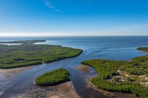 Land in New Port Richey, Florida № 2159904 - photo 16