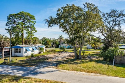 Land in New Port Richey, Florida № 2159904 - photo 4