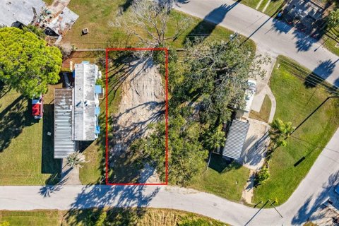 Land in New Port Richey, Florida № 2159904