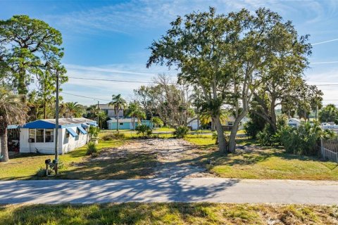 Land in New Port Richey, Florida № 2159904 - photo 5
