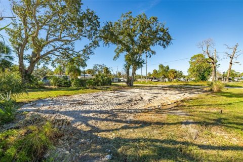 Land in New Port Richey, Florida № 2159904 - photo 9