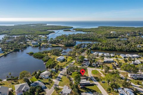 Land in New Port Richey, Florida № 2159904 - photo 2