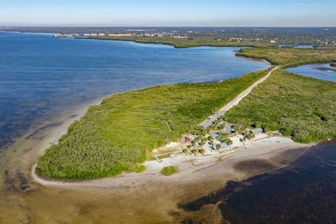Land in New Port Richey, Florida № 2159904 - photo 15